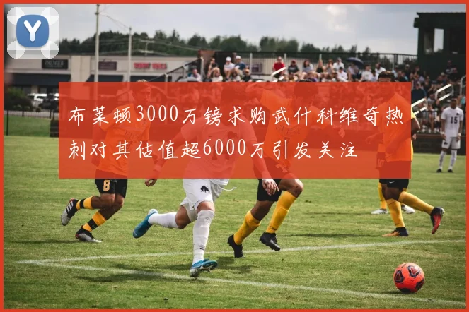 布莱顿3000万镑求购武什科维奇热刺对其估值超6000万引发关注