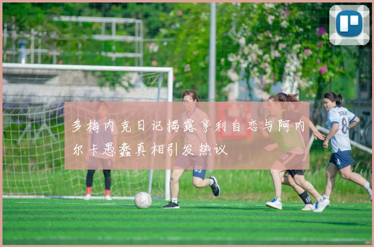 多梅内克日记揭露亨利自恋与阿内尔卡愚蠢真相引发热议